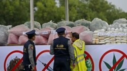 ဘိန်းနဲ့စိတ်ကြွဆေးထုတ်လုပ်မှု မြန်မာမှာ တိုးလာ ဘိန်းနဲ့စိတ်ကြွဆေးထုတ်လုပ်မှု မြန်မာမှာ တိုးလာ