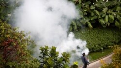 စင်္ကာပူမှာ ဇီကာရောဂါ ကူးစက်သူ ၄ဝ ကျော်ရှိ စင်္ကာပူမှာ ဇီကာရောဂါ ကူးစက်သူ ၄ဝ ကျော်ရှိ