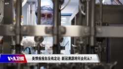 焦点对话:美情报报告没有定论,新冠溯源将何去何从? 焦点对话:美情报报告没有定论,新冠溯源将何去何从?