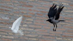 ငြိမ်းချမ်းရေး နှင့် ပြည်ပ ပယောဂ အလားအလာ ငြိမ်းချမ်းရေး နှင့် ပြည်ပ ပယောဂ အလားအလာ