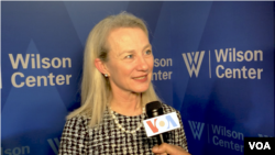美国国务院负责南亚事务的代理助理国务卿威尔斯在威尔逊中心接受美国之音采访(2019年11月21日)。