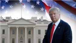 Ông Trump tuyên bố bỏ TPP ngay ngày đầu làm Tổng thống Ông Trump tuyên bố bỏ TPP ngay ngày đầu làm Tổng thống