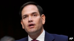 美国共和党籍参议员鲁比奥在听证会上发言(2018年3月14日)