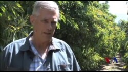 加州供水系统难以应对干旱 加州供水系统难以应对干旱