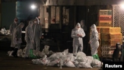 တရုတ်နိုင်ငံတွင်း ကြက်ဌက်တုတ်ကွေး ရောဂါပိုး စစ်ဆေးနေစဉ်။