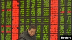 在安徽阜阳的一家证券行里,投资者用电脑观看股市行情(2016年1月28日)