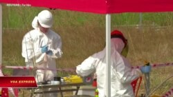 Mỹ chọn công ty Việt Nam làm nhà thầu chính trong dự án xử lý dioxin Mỹ chọn công ty Việt Nam làm nhà thầu chính trong dự án xử lý dioxin