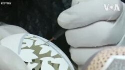 ဥခွံတွေပေါ်က အနုပညာလက်ရာ ဥခွံတွေပေါ်က အနုပညာလက်ရာ