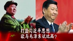时事大家谈:打造习近平思想:欲与毛泽东试比高? 时事大家谈:打造习近平思想:欲与毛泽东试比高?