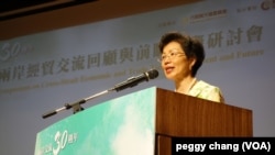 陆委会主委张小月在“两岸经贸交流回顾与前瞻国家研讨会”上发表讲话(2017年11月17日, 张佩芝摄)