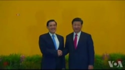 11月7日习近平与马英九在新加坡历史性握手相见 11月7日习近平与马英九在新加坡历史性握手相见