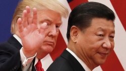 时事大家谈:特习通话玄机重重,贸易战打还是停? 时事大家谈:特习通话玄机重重,贸易战打还是停?