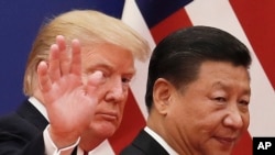 特朗普总统和习近平主席(资料照片)