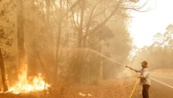 သြစတြေးလျတောမီး သေဆုံးသူ ၂၃ ဦးရှိပြီ သြစတြေးလျတောမီး သေဆုံးသူ ၂၃ ဦးရှိပြီ