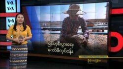 မြန်မာ့စီးပွားရေး ကော်ဖီလုပ်ငန်း မြန်မာ့စီးပွားရေး ကော်ဖီလုပ်ငန်း