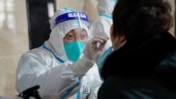 မျိုးဗီဇပြောင်း ကိုဗစ်ပိုးသစ်တွေကို အမေရိကန်လေ့လာစုံစမ်းနေ မျိုးဗီဇပြောင်း ကိုဗစ်ပိုးသစ်တွေကို အမေရိကန်လေ့လာစုံစမ်းနေ