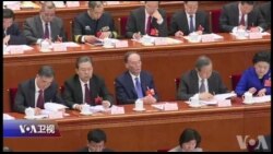 焦点对话:习近平迈向终身制,王岐山成两会大赢家? 焦点对话:习近平迈向终身制,王岐山成两会大赢家?