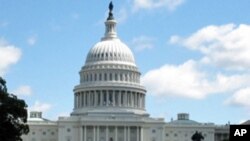 People pose for photographs by walking either side of artist Wolfgang Buttress' 17 meter high bee health inspired 'The Hive' aluminum installation as it stands on display after being put up in Kew Royal Botanic Gardens west London.