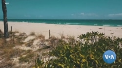 VOA英语视频: 新冠疫情致佛州水果蔬菜大面积烂在地里 VOA英语视频: 新冠疫情致佛州水果蔬菜大面积烂在地里