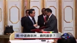 时事大家谈:美中角逐非洲,谁能胜出? 时事大家谈:美中角逐非洲,谁能胜出?