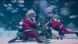 ကမ္ဘာတဝန်း ဆန်တာများ ကမ္ဘာတဝန်း ဆန်တာများ