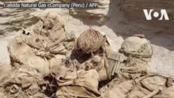 နှစ် ၈၀၀က လူရိုးစုတွေ ပီရူးမှာ မထင်မှတ်ဘဲတွေ့ရှိ နှစ် ၈၀၀က လူရိုးစုတွေ ပီရူးမှာ မထင်မှတ်ဘဲတွေ့ရှိ