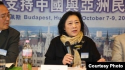 高瑜2012年10月在布达佩斯全球支持中国和亚洲民主化论坛大会上演讲(资料照片)