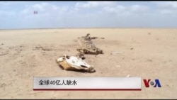 全球40亿人缺水