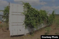 Farms for Orphans works with Congo Relief Mission, FAO in Kinshasa and the University of Kinshasa to set up small-scale palm weevil larvae farms to bring sustainable nutrition and economic empowerment to orphanages. (Courtesy: Farms for Orphans)