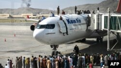 在喀布尔机场,人们争先恐后地爬上飞机顶部,等待离开喀布尔。(2021年8月16日)