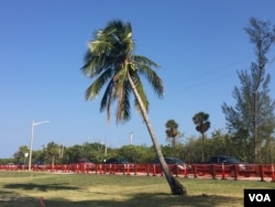 海湖庄园一边是沃尔斯湖,这是湖边的沙滩 (美国之音杨晨拍摄)