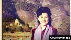 前中共中央党校教授蔡霞(资料照片)