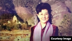 资料照:前中共中央党校教授蔡霞