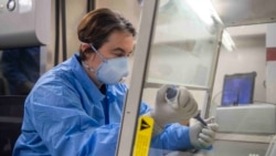 军医在菲律宾海上美利坚号两栖攻击舰(USS America)上进行化验工作(美国海军2020年3月18日)