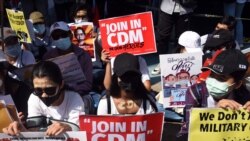 Civil Disobedience Movement (CDM)