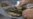 16x9 Image