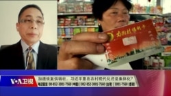 时事大家谈:加速恢复供销社,习近平意在农村现代化还是集体化? 时事大家谈:加速恢复供销社,习近平意在农村现代化还是集体化?