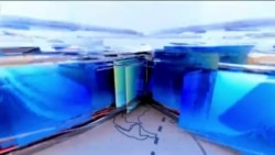 时事大家谈:热点快评:习近平第三度当选国家主席,世界最大规模民主不需要反对票?李克强说苍天,习近平谈神明,中共究竟敬畏谁?中共金融机构体制改革,中央集权防风险? 时事大家谈:热点快评:习近平第三度当选国家主席,世界最大规模民主不需要反对票?李克强说苍天,习近平谈神明,中共究竟敬畏谁?中共金融机构体制改革,中央集权防风险?