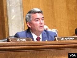 听证会主席科里·加德纳参议员 (美国之音张佩芝拍摄)