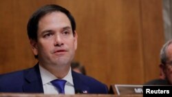 资料照:共和党联邦参议员鲁比奥(Sen. Marco Rubio, R-FL)2018年7月25日在听证会上发言。