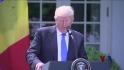 分析:川普和蒂勒森对卡塔尔危机看法不同 分析:川普和蒂勒森对卡塔尔危机看法不同