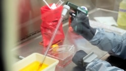 时事大家谈:专访前美国防部高官:德堡阴谋论“没有丝毫证据” 时事大家谈:专访前美国防部高官:德堡阴谋论“没有丝毫证据”