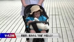 时事大家谈:专访易富贤:我为什么“死磕”中国人口? 时事大家谈:专访易富贤:我为什么“死磕”中国人口?