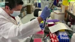 ကိုဗစ် ၁၉ နဲ့ ပဋိပစ္စည်းကုထုံး ကိုဗစ် ၁၉ နဲ့ ပဋိပစ္စည်းကုထုံး