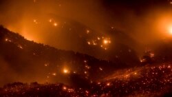 California တောမီး ဒေသခံမြန်မာ ကိုယ်တွေ့ California တောမီး ဒေသခံမြန်မာ ကိုယ်တွေ့