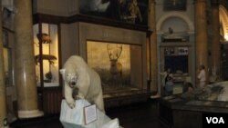 位于圣彼得堡市中心的南极和北极博物馆。主要内容讲述俄国和苏联开发和探险北极,以及北极航道历史。(美国之音白桦拍摄)