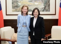 台湾总统蔡英文与华盛顿邮报资深副主编韦茅斯合影(台湾总统府提供)