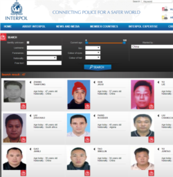 现在国际刑警组织公开查询系统中只能查到红色通缉令逃犯47人,不包括任何“百名红通人员”