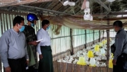 ထားဝယ်ကြက်ခြံများအနီး အထူးဧရိယာ သတ်မှတ်စောင့်ကြည့် ထားဝယ်ကြက်ခြံများအနီး အထူးဧရိယာ သတ်မှတ်စောင့်ကြည့်