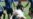 16x9 Image